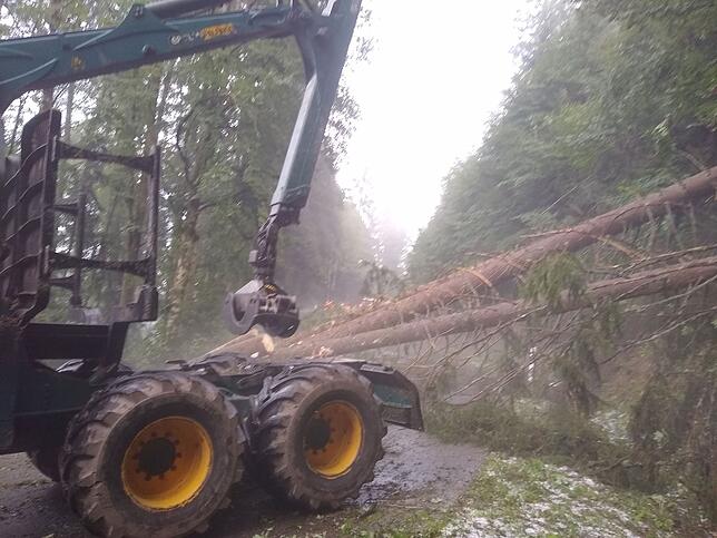 Bild 2: Die Folgen des Unwetters rund um Bonndorf am Freitag, 26. Juli 2019