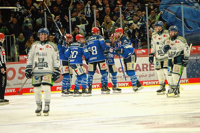 Bild 7: Fans, fliegende Fäuste und Feiern &ndash; Bilder vom 5:1 der Wild Wings gegen Straubing
