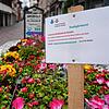 Mit Information: Mit solchen Hinweistafeln informiert die Stadtgärtnerei über die Frühlingsaktion, hier der Marienbrunnen in der ...