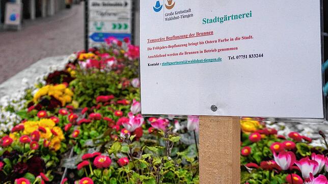 Mit Information: Mit solchen Hinweistafeln informiert die Stadtgärtnerei über die Frühlingsaktion, hier der Marienbrunnen in der ...