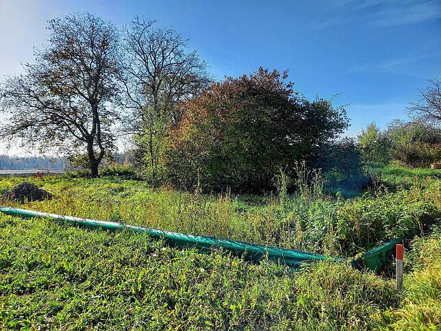 Das neu geschaffene Habitat für die Zauneidechsen befindet sich nur wenige Meter von der B 33 entfernt. Es ist mit Folien umzäunt.