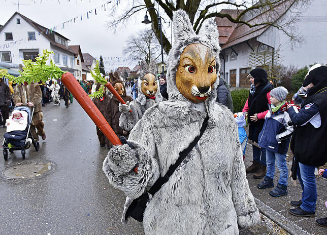 Bild 6: Bilder des großen Umzugs bei den Hattinger Narrentagen