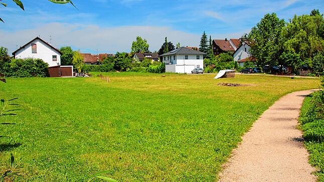 Blick auf die Wiese hinter der Freien Waldorfschule. Die Schule will das Gebiet als Erweiterungsfläche nutzen.