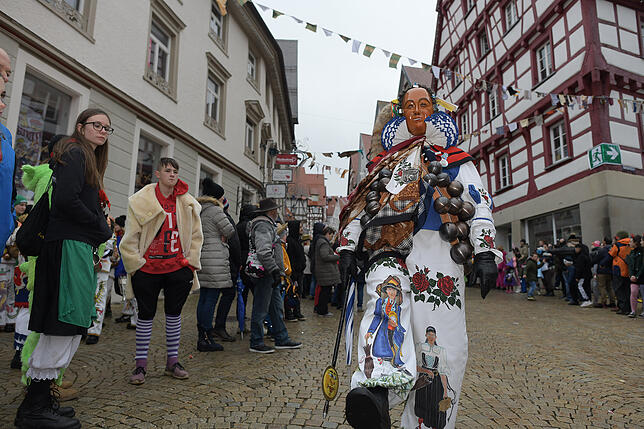 Bild 33: Tausende Hästräger und Musiker in Pfullendorf: Bilder vom Umzug (3)