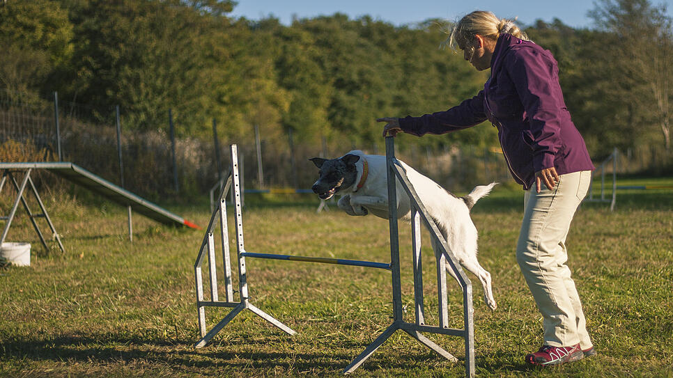 Marina Meinzer trainiert gemeinsam mit ihrem einjährigen Rüden Rusty auf dem Gelände der Hundfreunde Bad Säckingen-Wallbach. Sie weiß, ...