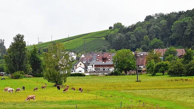 Der dörfliche Charakter des Weilers Wangen soll weiterhin gewahrt werden. Der Gemeinderat hat per Satzung Bauvorhaben ermöglicht. Foto: ...