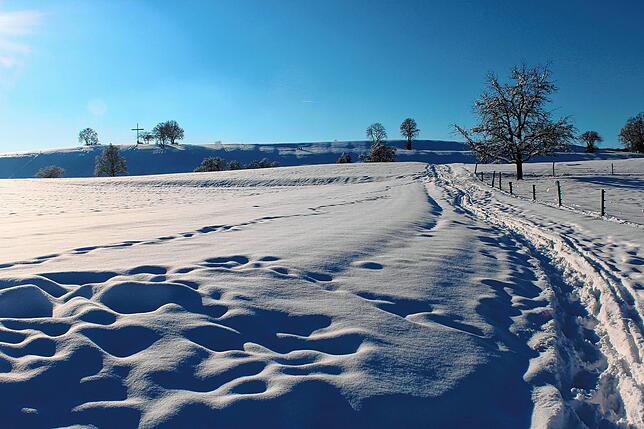 Bild 21: So viel Schnee gab es schon lange nicht mehr: Der Raum Stockach versinkt im weißen Pulver