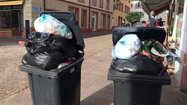 Zum Jahresbeginn 2019 kam es zu Schwierigkeiten bei der Abfallentsorgung. Weil die Biotonne in tausenden Haushalten fehlt, sind die ...