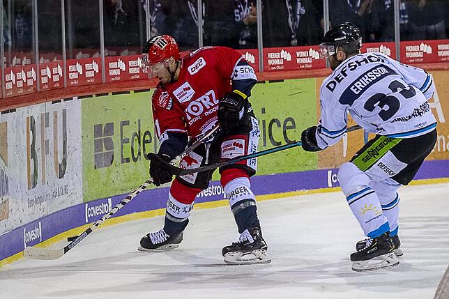 Bild 21: Die Wild Wings siegen wieder in der Deutschen Eishockey-Liga