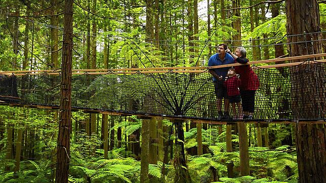 Ein Treewalk, hier in einem Wald in Neuseeland, eröffnet neue Perspektiven, die Natur und Waldbewohner beobachten zu können. Der ...