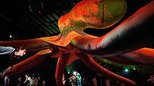 Der von Hugo Canoilas geschaffene Oktopus schwebt zu Boden. Die Menschen n dem Stück „Hold your Breath“ reagieren mit Angst und Ehrfurcht.