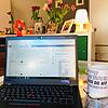 Seit Tagen die einzige Aussicht von Anna-Maria Schneider im Home-Office.
