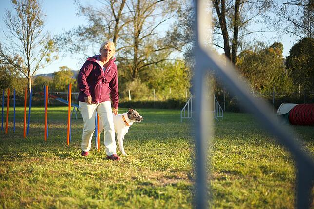 Bild 7: Gemeinsam in der Hundeschule: So üben Mensch und Tier zusammen auf dem Hindernisparcours