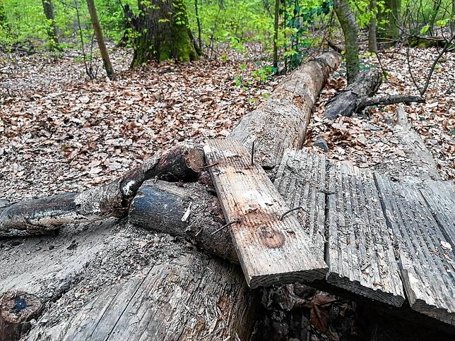 Das Brett, das glücklicherweise nicht zu einem schweren Unfall führte.