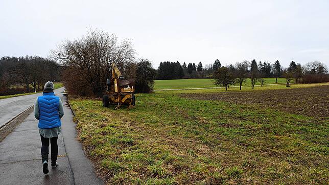 Noch führt die Dettinger Straße am nördlichen Rand von Wollmatingen durch Wiesen und Felder. Doch in wenigen Jahren wird sie eine der ...