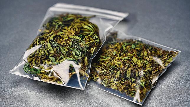 Marihuana in Plastikbeuteln. Bei dem Angeklagten wurden neben dieser Droge auch Amphetamine gefunden. Jetzt muss er für den Besitz ins ...