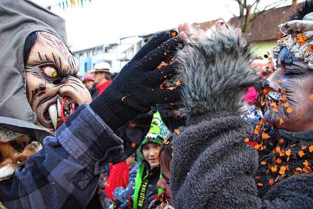 Bild 18: Bilder vom Umzug der Froschzunft Wutöschingen &ndash; Teil 3