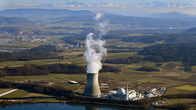 Die mobilen Strahlenschutzmessgeräte im Kernkraftwerk Leibstadt funktionieren, wie jetzt eine Untersuchung ergab. Gund für die ...