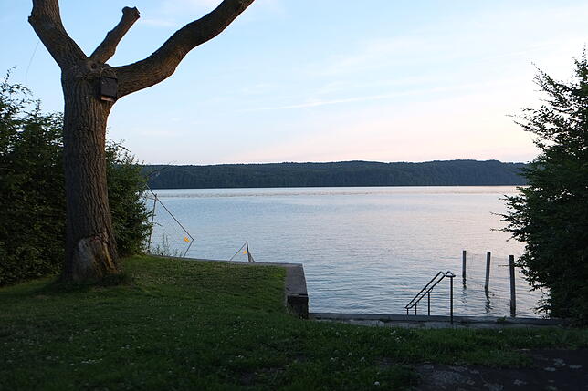 Der Maschendrahtzaun im Wasser soll entfernt werden.
