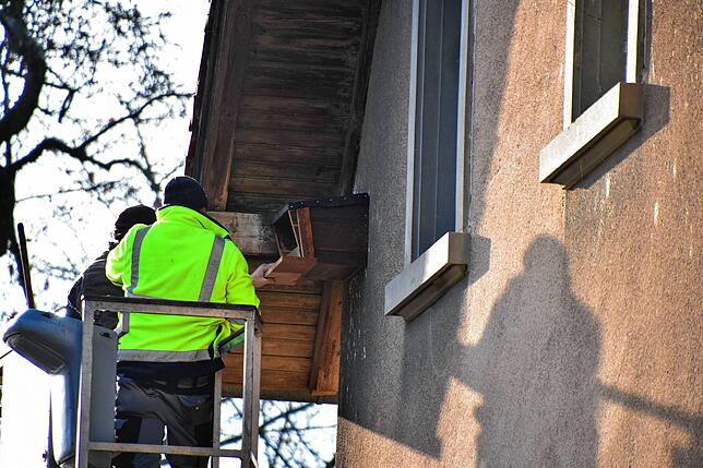 An der alten Mühle ersetzen Andreas Mauch und Peter Krattenmacher einen Nistkasten für Turmfalken.