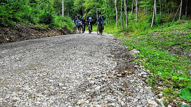 Wer Schotter mag, wird diesen steilen Waldaufstieg bei Immendingen lieben &ndash; vor allem, bevor er sich wieder eine Rüttelpiste ...