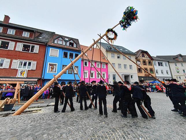 Bild 5: Viererbund-Treffen: Überlinger Zimmermannsgilde stellt erfolgreich den Narrenbaum