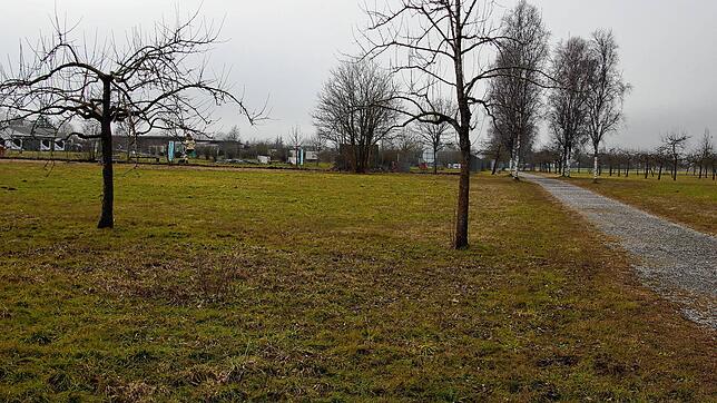 Der neue Naturkindergarten soll am Standort der ehemaligen Themengärten im Seepark Linzgau entstehen.