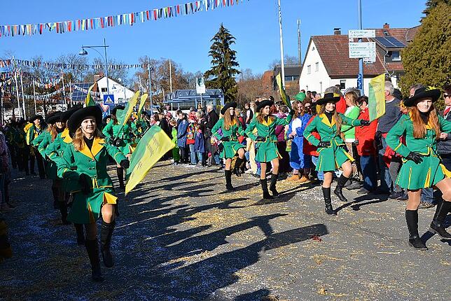 Bild 13: Bilder vom Narrentreffen der Urviecher-Zunft Bad Dürrheim: Großer Festumzug (3)