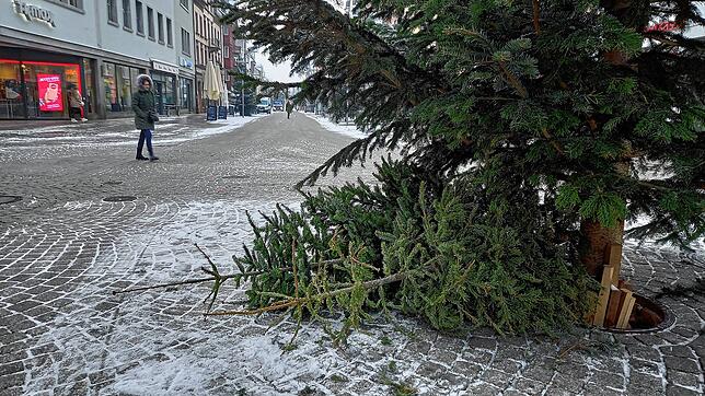 Auch am Latschariplatz in Villingens Stadtmitte liegen ausgediente Bäume.