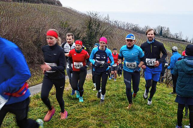 Bild 13: Bilder vom Crosslauf Hegau-Bodensee in den Reben oberhalb der Haltnau