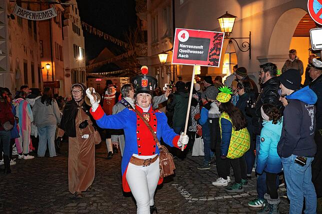 Bild 43: Nachtumzug beim Narrentreffen Engen 2025 – Hier gibt‘s die besten Bilder