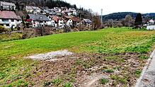 Die geplante Erschließung der Festwiese in Storzingen war im Gemeinderat der einzige umstrittene Punkt. Die vorgesehenen Mittel von ...