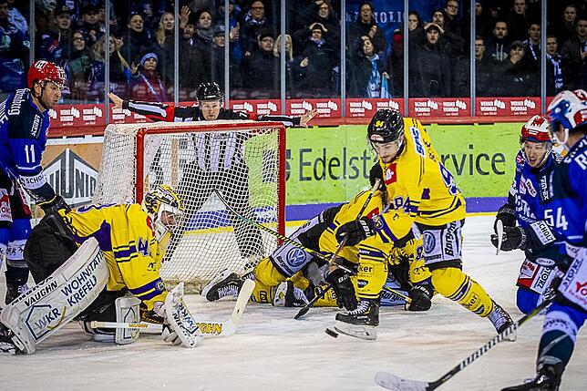 Bild 16: Bilder: Wild Wings vs. Krefeld Pinguine