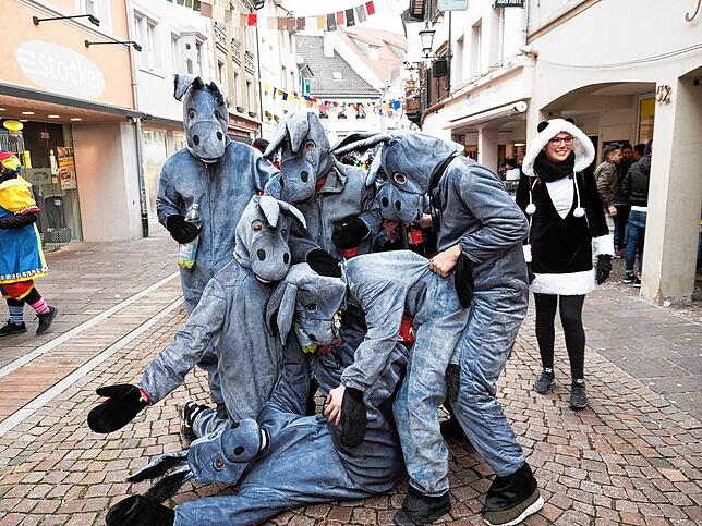 Eine Gruppe Esel trieb 2018 ihren Schabernack.
