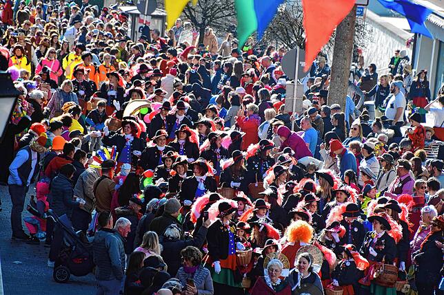 Bild 15: Bilder vom Kindernarrenbaum-Umzug in der Hauptstraße in Stockach
