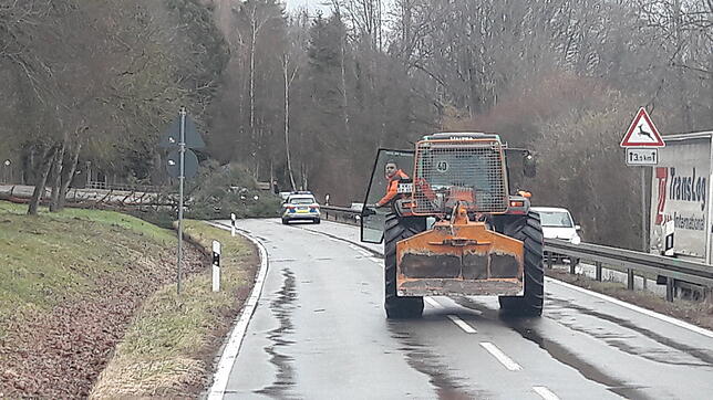 Einsatz in Dettingen: Ein Baum blockiert die Straße.