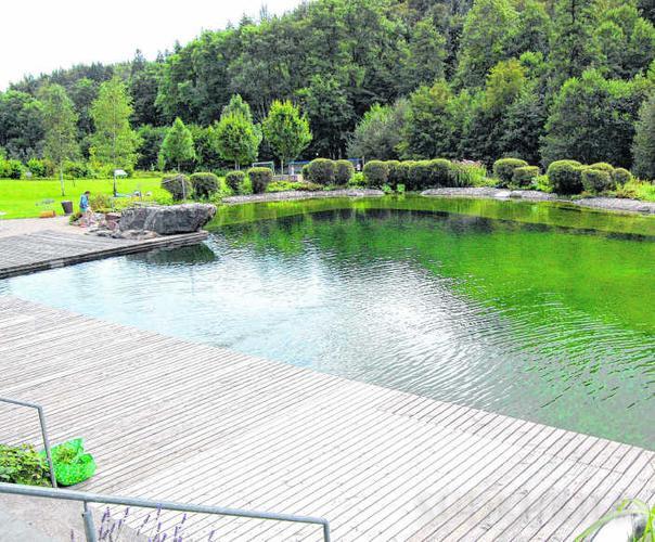 Ausflugstipp: Naturena Badesee
Der künstlich angelegte Naturena Badesee liegt idyllisch ruhig und bietet für die ganze Familie ein ...