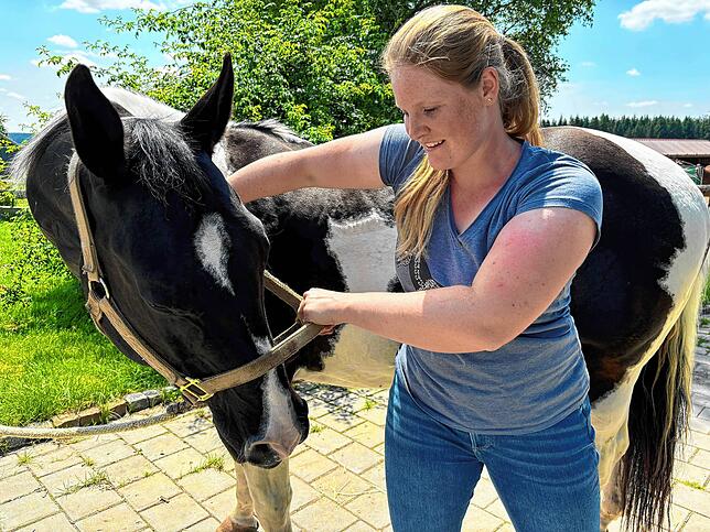 Wo zwickt es Wallach Sam bloß? Osteopathin Katharina Müller-Langhans geht der Sache auf den Grund.