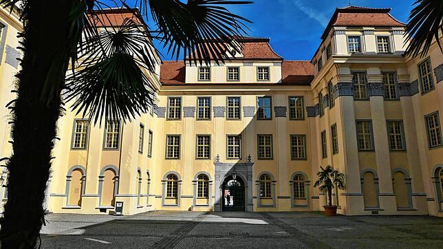 Am Amtsgericht Tettnang im Neuen Schloss wurde eine Schlägerei auf dem Mostfest in Bermatingen aufgearbeitet.