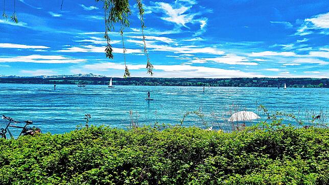 Auf dem Weg zum Hörnle: Idylle pur in Konstanz