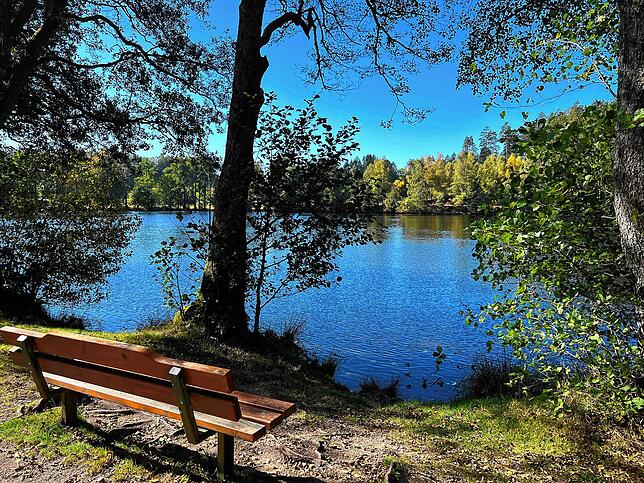 Herbst am Schlüchtsee in Grafenhausen.