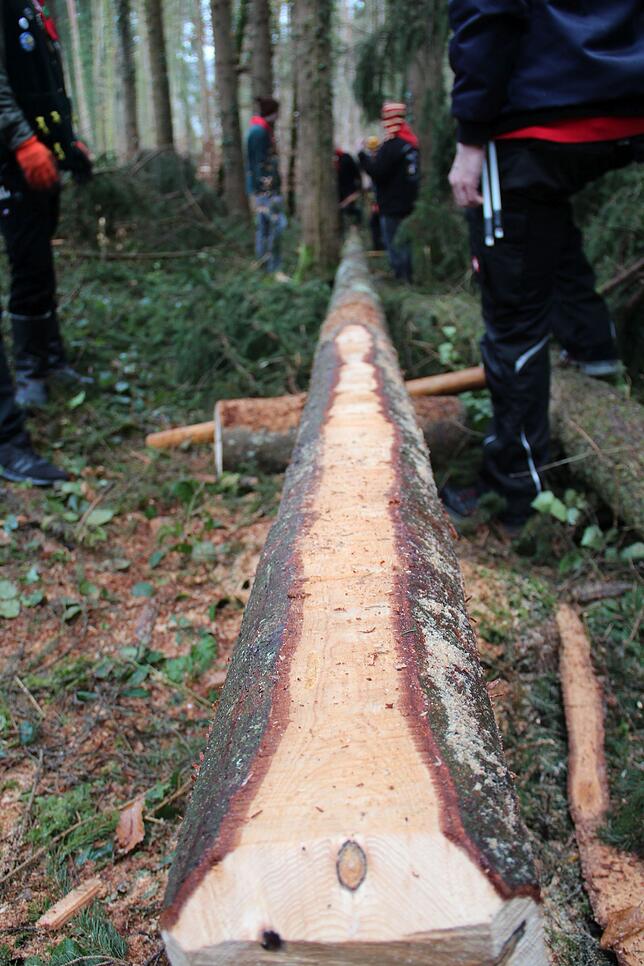 Bild 15: Bilder vom Einholen der Narrenbäume der Narrizella Ratoldi und der Froschenzunft im Altbohlwald