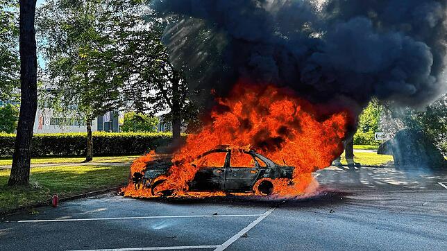 Da war nichts mehr zu retten: Am Freitagabend ist ein Auto bei einem Feuer komplett zerstört worden.