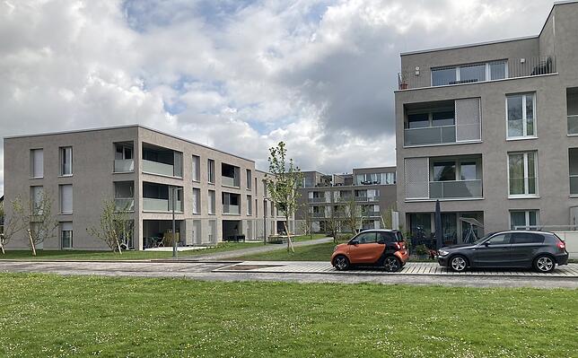 Neubaugebiet Allmannweiler in Friedrichshafen: Die Gebäude entsprechen mit ihrer quadratischen Form nicht dem, was sich Andrea Gebhard ...
