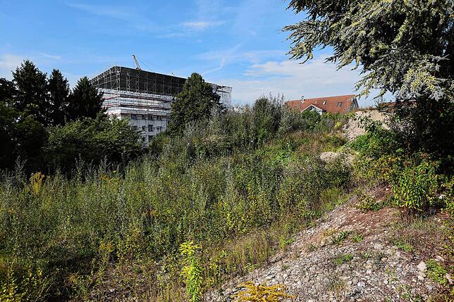 Am Briel 53/57 soll ein zehngeschossiges Hochhaus mit zurückgesetztem elften Stockwerk entstehen. Seit die vorbereitenden Arbeiten ...