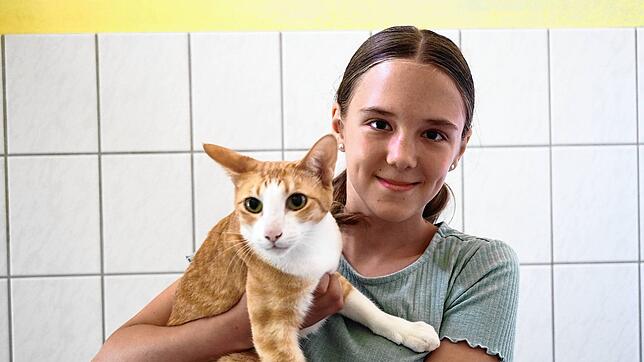 Das Tierheim Steinatal in Waldshut-Tiengen ist derzeit gut mit Katzen und Kleintieren belegt, hier Praktikantin Marie Ebi mit Kater Eric.