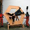 Bild :