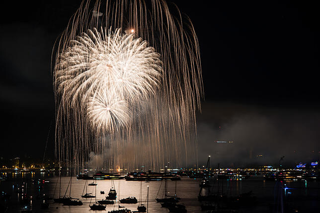 Bild 5: Seenachtfest: Bilder vom großen Feuerwerk