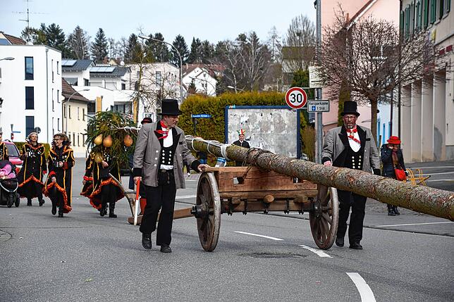 Bild 21: Bilder vom Narrenbaum-Umzug in Stockach mit Schaulustigen