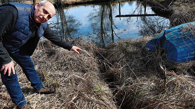 Ortsvorsteher Bernd Bucher zeigt auf einen Graben, den ein Biber zum Fischweiher in den Oberen Wiesen zwischen Rietheim und Villingen ...